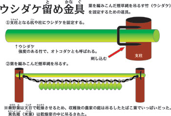 太い竹と支柱を組み合わせ、タバコの葉を編んだ煙草縄を吊るすための道具の構造を説明したイラスト