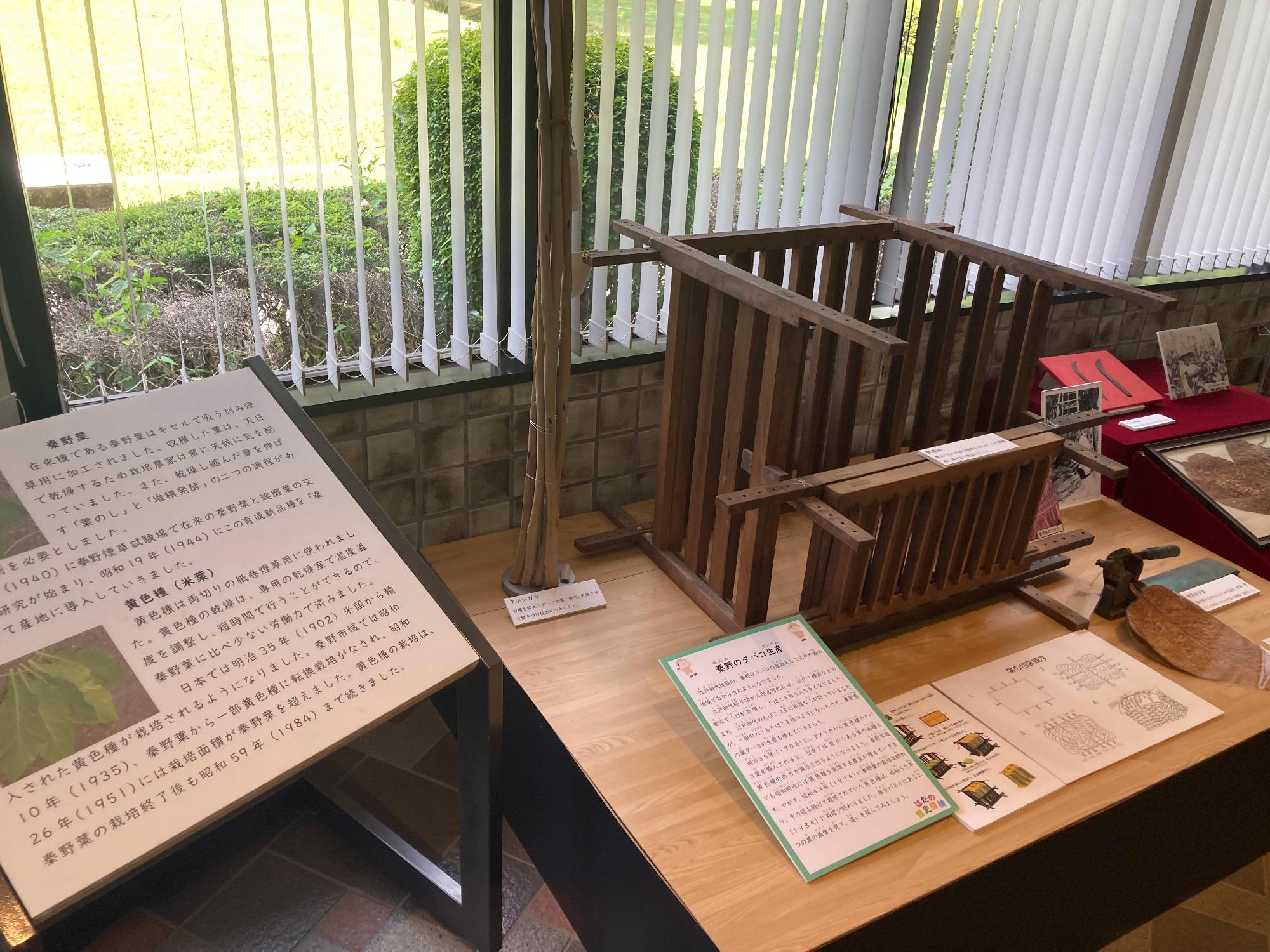 屋内展示スペースに、タバコの葉を乾燥させるための木製の道具やタバコ栽培に関するパネルが展示されており、窓の外には緑が見える博物館の展示室の写真