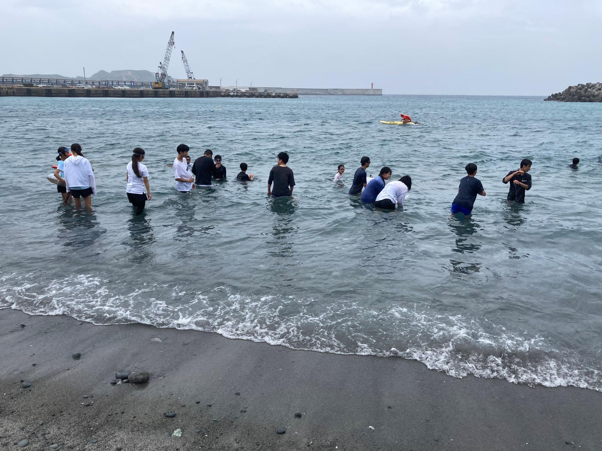 たくさんの子どもたちが浅瀬の海に入って、楽しそうに水遊びをしている様子の写真