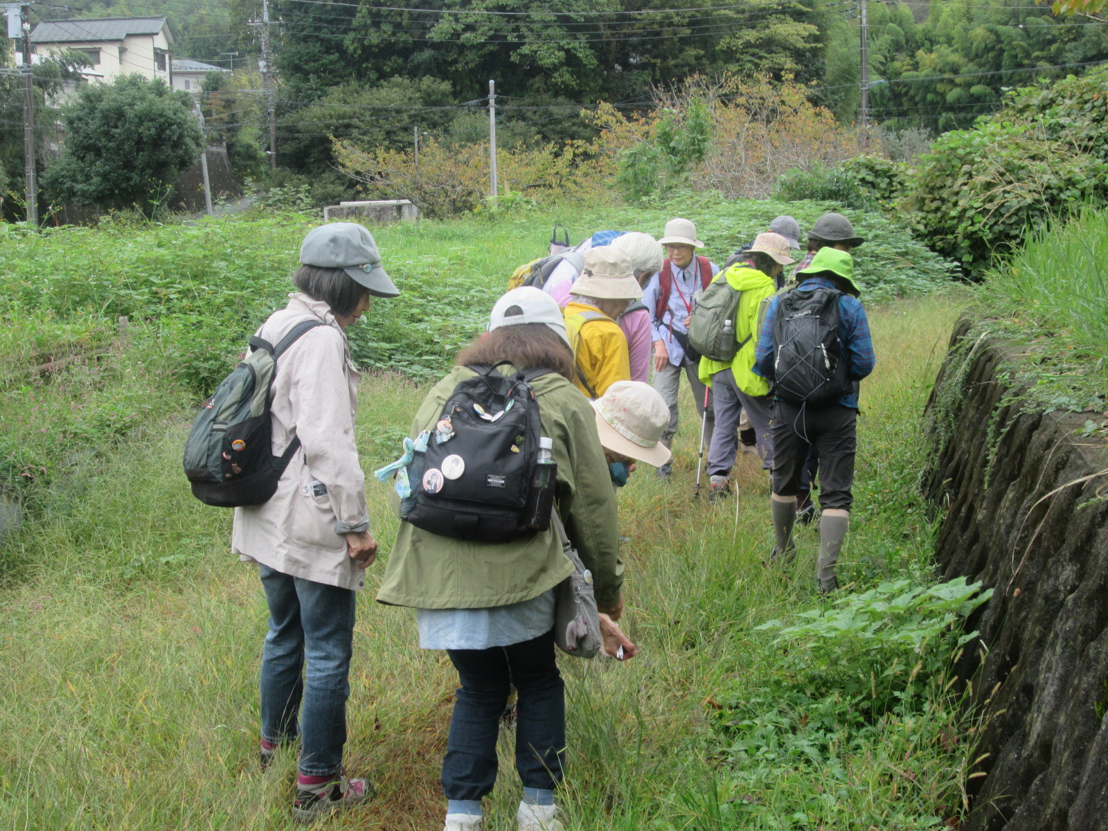 緑の草原と木々に囲まれた田園地帯の小道を、様々な色のハイキングウェアと帽子を着用した10名以上のグループが一列になって歩いている様子の写真