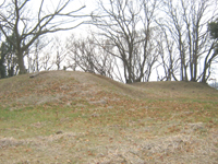 落葉した木々の手前に、なだらかな土の丘が見られる二子塚古墳の写真