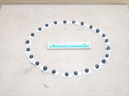 白く細長い説明書きを中央に配置し、その周囲に多数の黒い玉が環状に並べられた遺物の展示写真