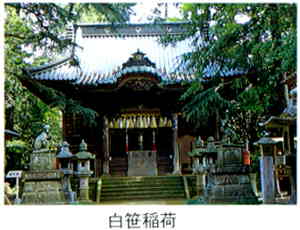 緑の木々に木々に囲まれた向拝付きの神社拝殿が正面にあり、拝殿に続く、苔で覆われた階段の両脇には石灯籠と神狐像が配置されている、白笹稲荷の外観写真