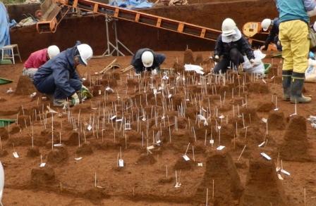 ヘルメットを被った複数の人々が、地面に立てられた白い札がついた無数の棒を囲み、土器や遺物を丁寧に発掘している様子の写真