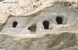 土でできた斜面に楕円形の複数の穴が開いており、その上には枯れた草が生い茂る様子を写した、尾根沢山横穴墓群とされる写真