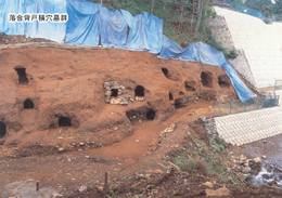 山の斜面の土壁に複数の小さな横穴が見られ、上部には青いビニールシートが被せられている、落合芦戸横穴墓群の発掘現場の写真