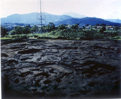 根丸島発掘状況