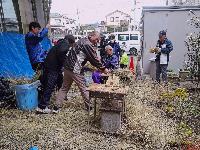 わらすきの様子