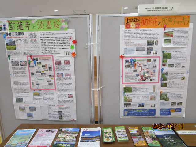 宝蓮寺と淡墨桜に関する観光情報が掲示されており、地図や見どころの説明が詳しく書かれている、観光案内掲示板の写真