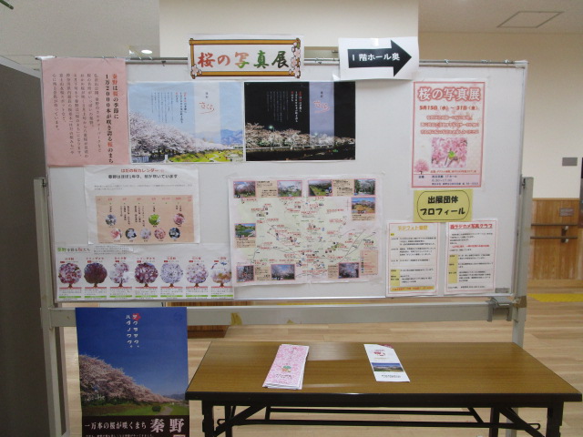 白板の上に桜の写真展のポスター、桜の品種と開花時期を解説する資料、地域の桜の名所の地図などが展示され、手前の机上にはパンフレットが置かれた案内掲示板の写真