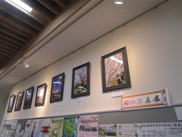天井近くの壁に黒い額縁に入った桜や風景の写真が斜めに傾くように遠近感をつけて七点飾られ、その下には「桜の写真展」の文字と各種イベントのポスターが掲示されている展示風景の写真