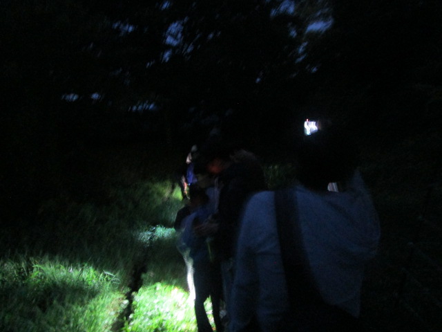 街灯のない夜の森の小道を、懐中電灯のような光を足元に当てながら、数人の人々が列になって歩いている様子を後方から捉えたブレのある写真