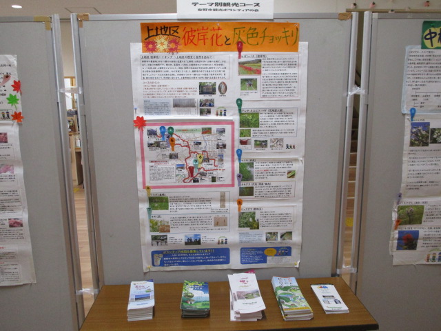 「上地区彼岸花と灰色チョッキリ」というテーマ別観光コースを紹介する展示で、地図、写真、説明文などが所狭しと貼られたパネルと、その下にパンフレットが並べられた地域のボランティア活動の様子の写真