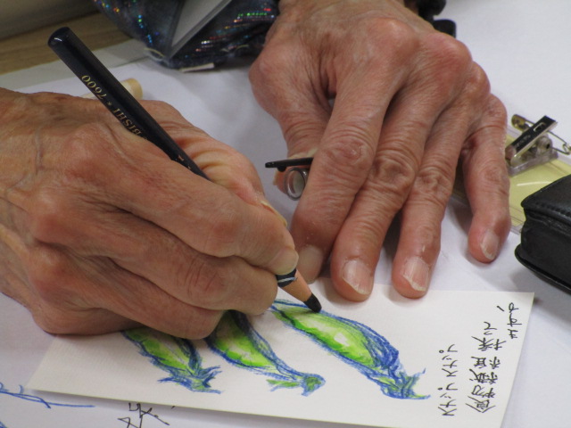 白い紙に緑色のスナップエンドウのような野菜のイラストを色鉛筆を握り細部を彩色している写真