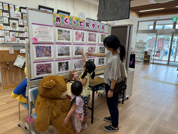 明るい室内の広間に設置された白いボードに、「めくって桜クイズ」のタイトル文字が見え、その下にたくさんの桜の写真が並んで貼られており2人の幼い子供が母親と一緒にクイズの写真を指さしている様子の写真