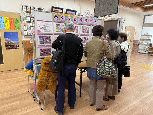 明るい室内の広間に設置された白いボードに、「めくって桜クイズ」と書かれたタイトル文字の下に貼られたたくさんの櫻の写真を見て4人の高齢者が集まってクイズを解いたり鑑賞したりしている様子の写真