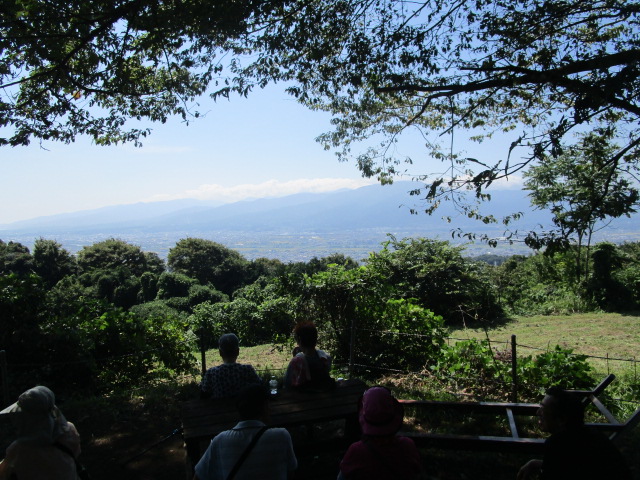 木陰の下にあるベンチに座っている人々が、手前の緑豊かな木々の上から、遠くの山々や街並みを見渡す広大な景色を眺めている写真