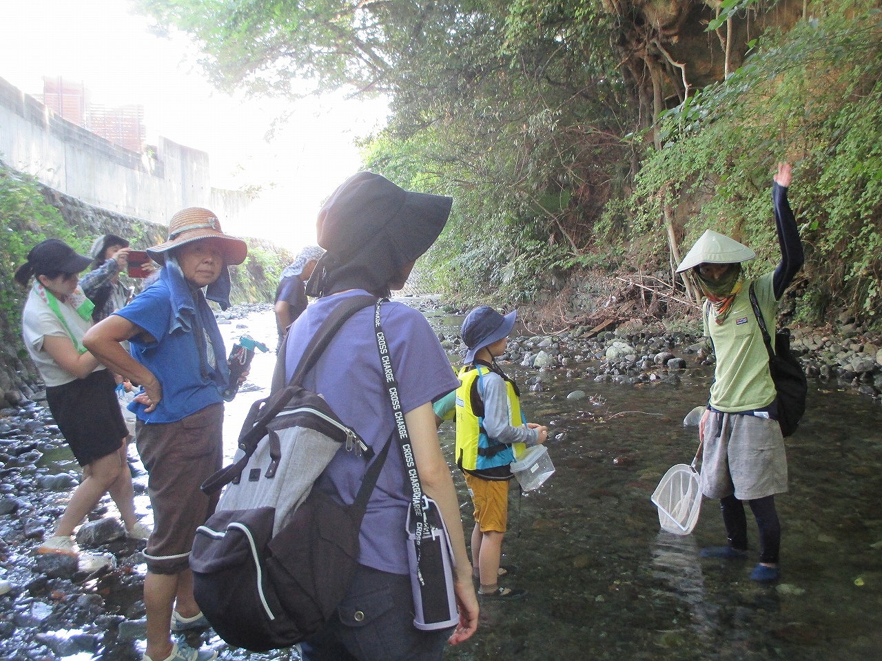 日差しが差し込む川で、数人の参加者が帽子やライフジャケットを着用し、網を持ちながら水生生物の観察や調査を行っている様子の写真