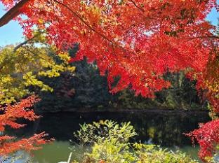 南の史跡めぐり1