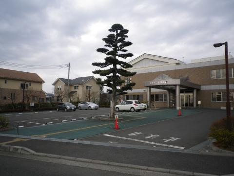 2階建ての建物正面に設けられた、中央に大きな松の木があるアスファルトの駐車場の写真