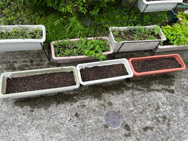 地面に置かれた5つのプランターと、棚の上に置かれた複数のプランターの様子で、手前のプランターには土だけが入っている写真