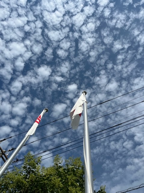 空高く見上げるアングルで、一面に羊雲が広がる青空の下、2本の旗が掲揚されている写真