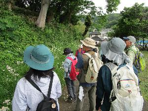 山の斜面の植物を大人数人が観察している様子