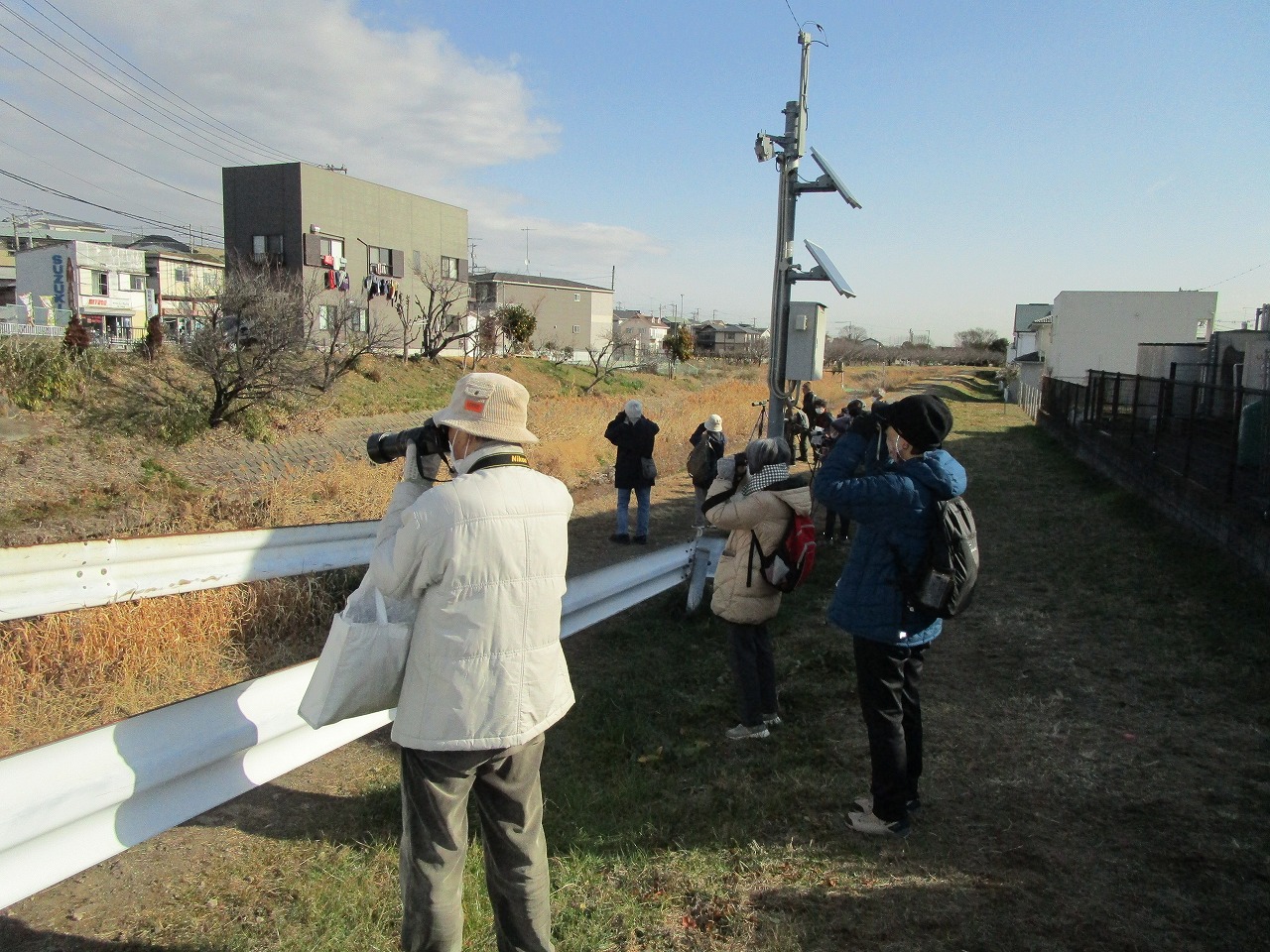 川の土手から大人数人が冬鳥を双眼鏡で観察している