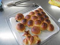 初心者パン作り教室