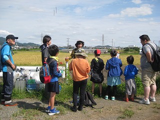 青空の下、稲穂が実った田んぼの横の土の道で、帽子をかぶった女性が数名の子供たちに説明している、自然観察会の様子の写真