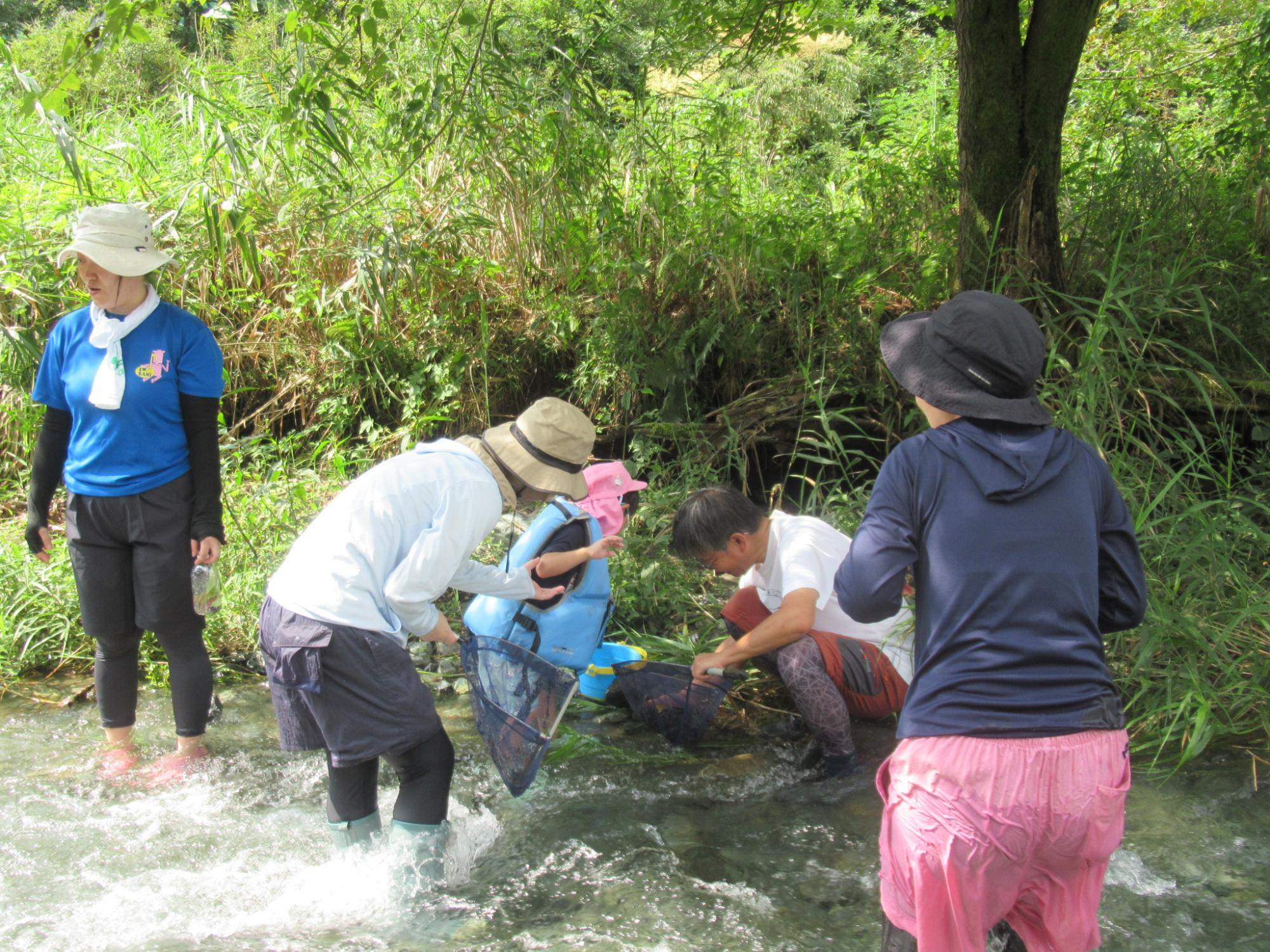 帽子をかぶった大人数名と、青いライフジャケットをつけた子どもが、川岸の草木が生い茂る場所で網や手を使って何かを探したり、捕まえたりしている自然体験学習の様子の写真