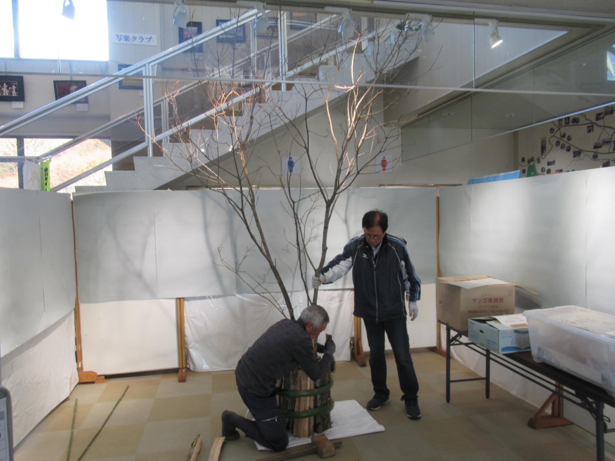 オンベ竹組み立て