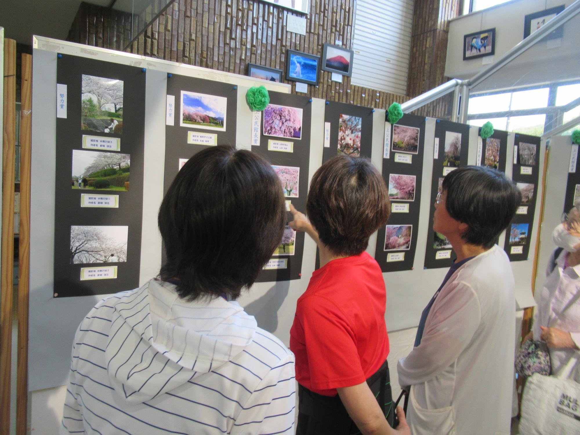 桜の花写真展2