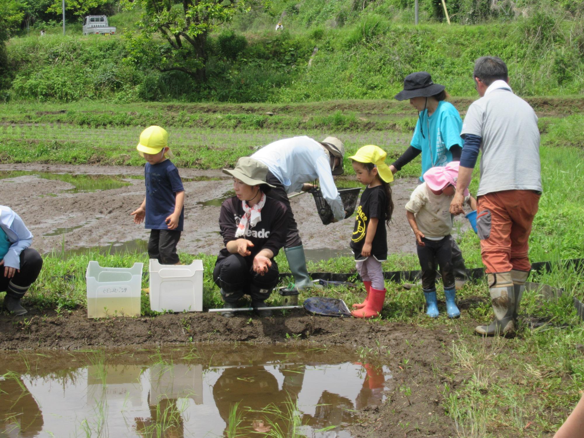 春の生き物の里調査隊2