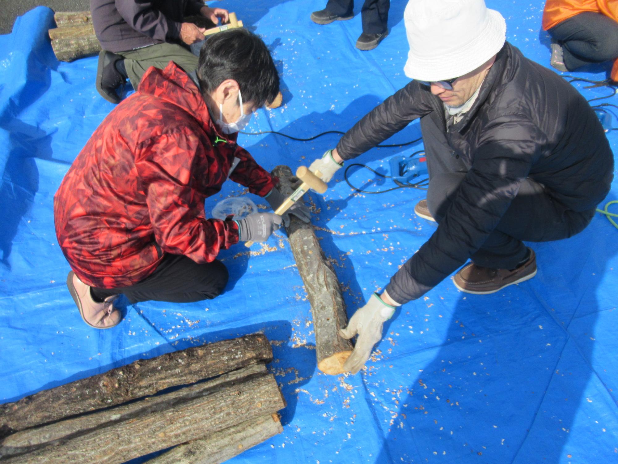 ホダ木とブルーベリー1