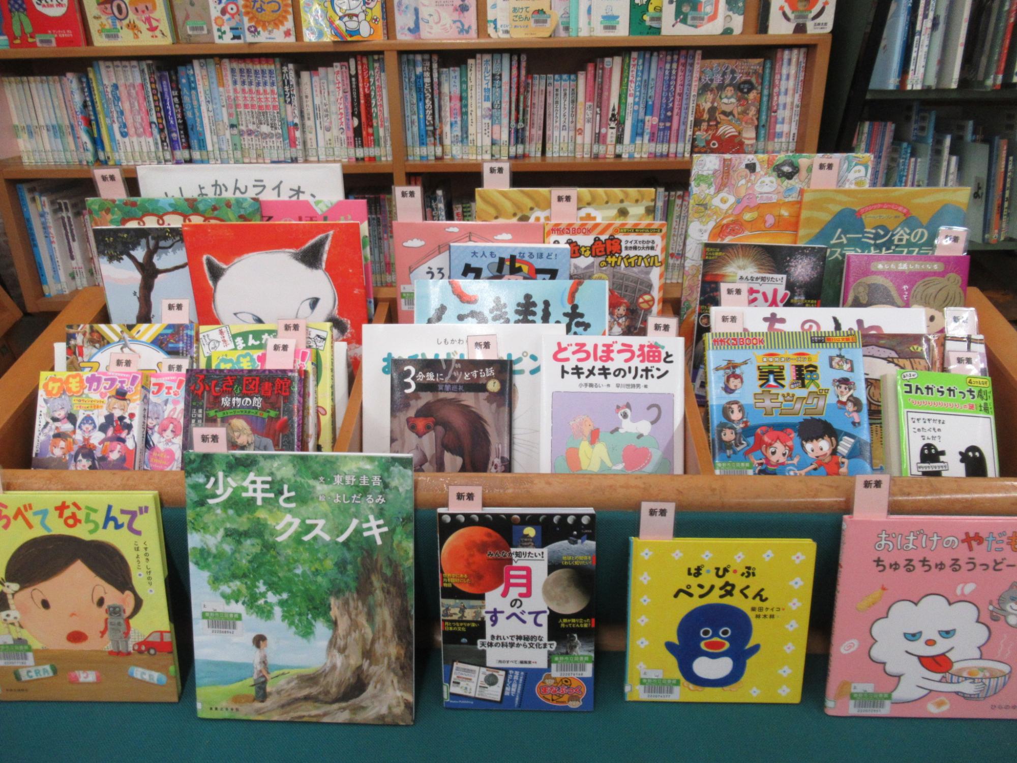 図書室児童書新着本