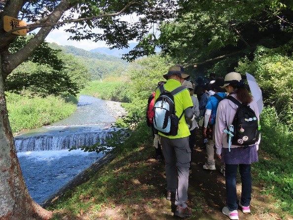 川沿いの土手にある木陰の小道を、ハイキング用のリュックサックや帽子を身につけた数人の参加者が、遠くに見える山に向かって歩いている様子の写真