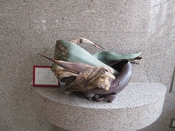 黒っぽい陶器の花器に淡い緑色と茶色く枯れたような大きな葉を組み合わせた独創的な生け花の作品が展示されている写真