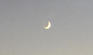 秋の星空観察会で観察した月の写真