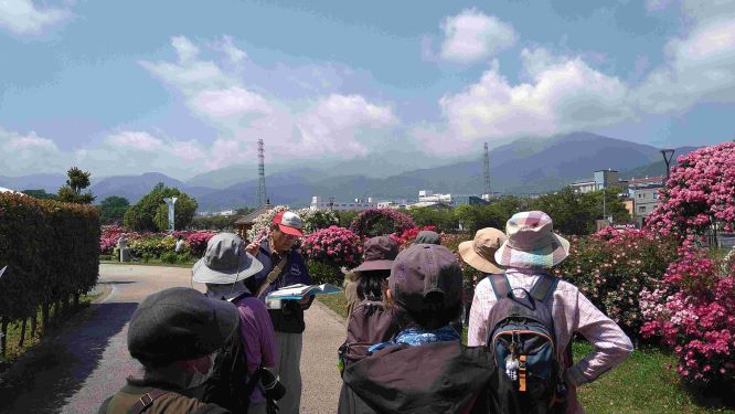 薔薇が咲いている道を帽子を被っている大人が5,6人歩いている後ろ姿の写真