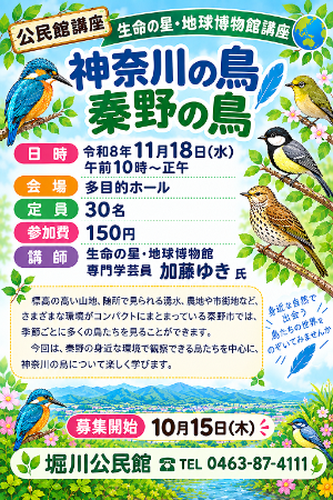 神奈川の鳥の講座の募集ポスター
