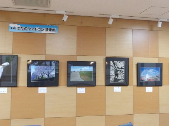 木目調の壁に、黒い額縁に入った複数の写真作品が横一列に展示されており、桜の風景や道の写真、水滴のクローズアップなど多様なテーマが並び、上部には「はたのフォトコン倶楽部」の看板がある写真