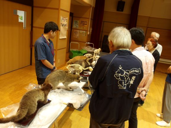 木目調の床の屋内会場で、青いシャツの男性が複数の参加者に対して、テーブルに並べられたハクビシンやタヌキなどの剥製と動物の骨格標本について熱心に解説している様子の写真