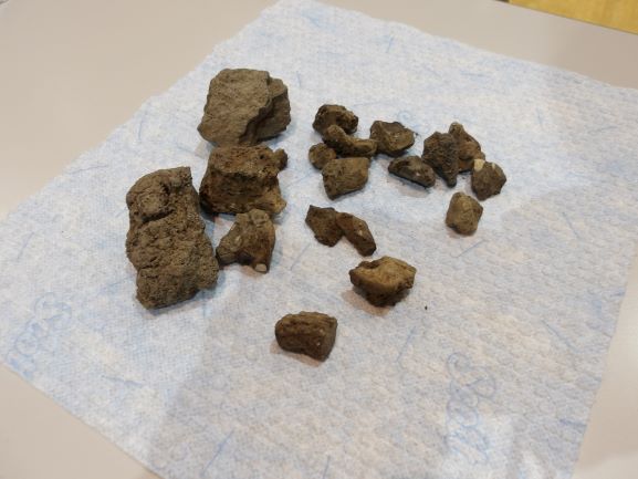 火山の鉱物の大きいものや小さいもの様様な石を並べた写真