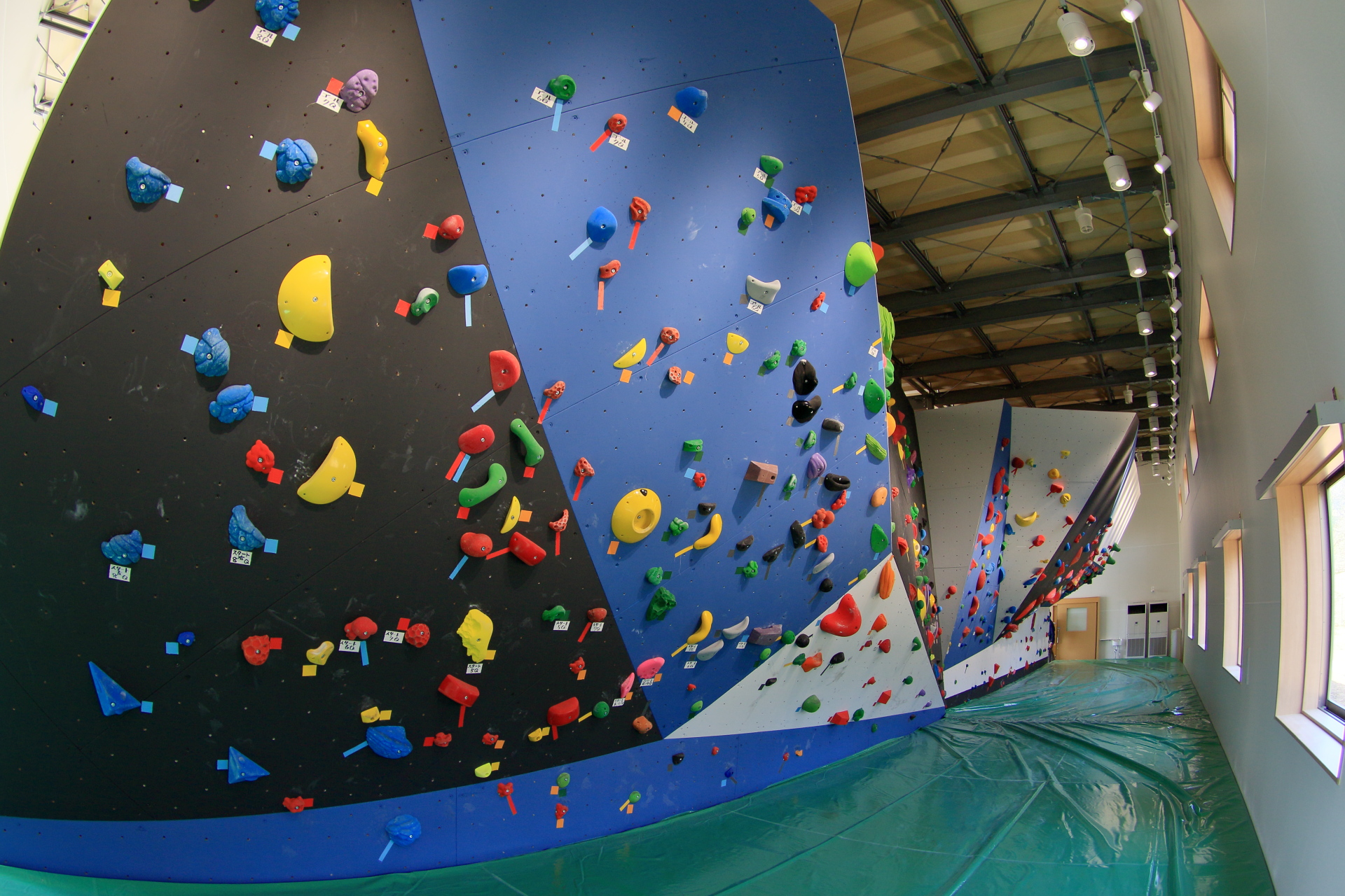 屋内のボルダリングジムで、黒、青、白の斜めに構成された壁面に、多種多様な形状と色彩のクライミングホールドがびっしりと取り付けられており、床には緑色のマットが敷かれている写真