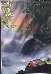 葉を茂らせた枝が垂れ下がり、霧状になった水しぶきが舞う滝が木漏れ日の光があたりうっすらと虹が見えている風景描いた写真の部で市展大賞を受賞した作品の写真