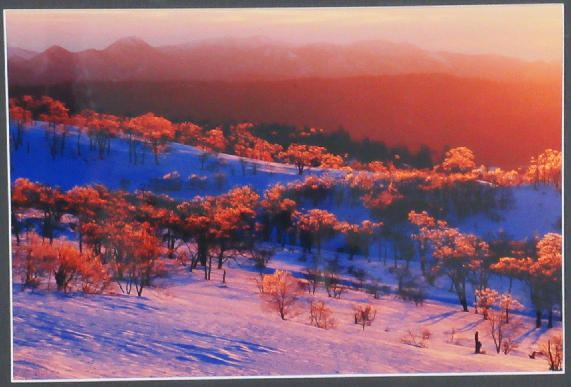 冠雪した山の斜面に広がる紅葉した木々が朝日に照らされて周辺の景色も真っ赤に染められ輝いている、写真の部で市展大賞を受賞した作品の写真