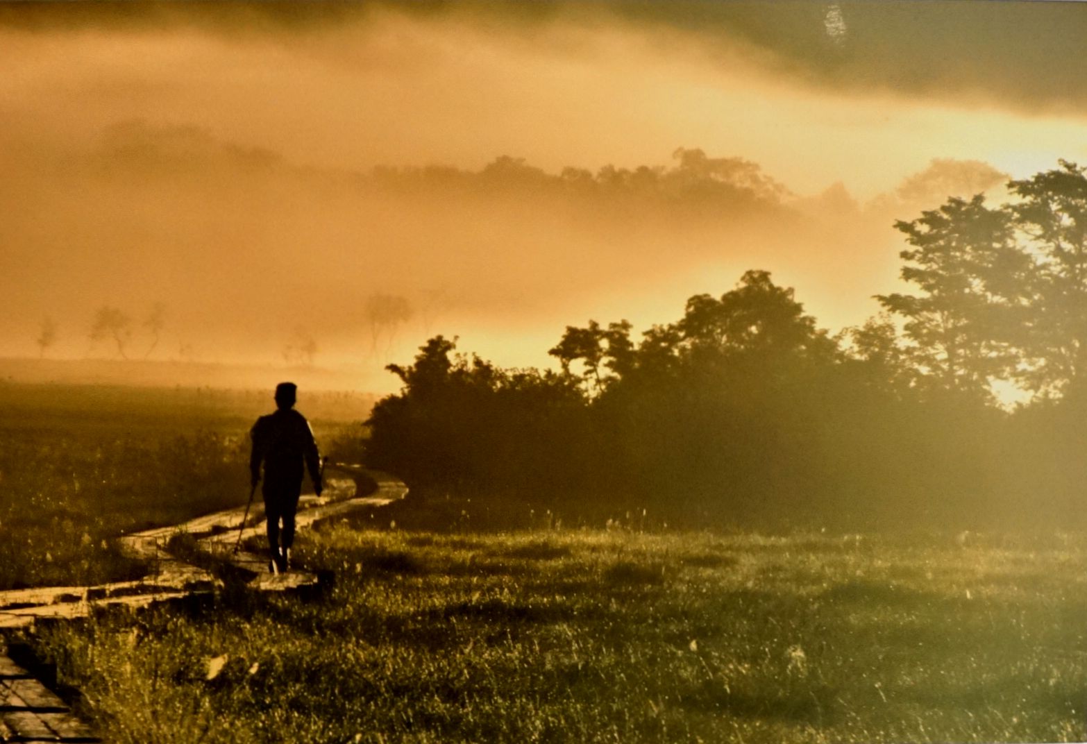 山や木々に囲まれた草原の中を、日の出の時間帯に、人物が木道を進む様子がシルエットで浮かび上がった様子を捉えており、霧と光が織りなす幻想的な雰囲気が漂う、写真の部で市展大賞を受賞した作品の写真