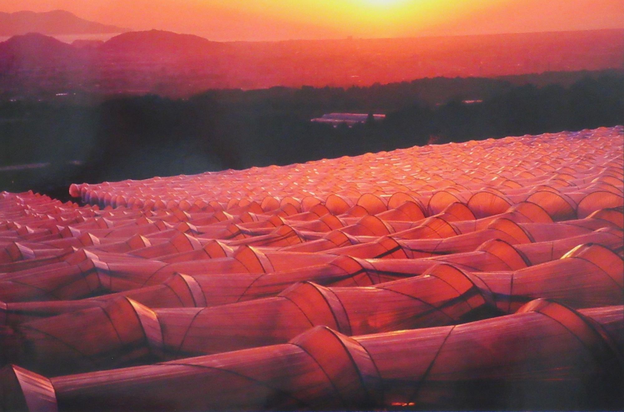 遠くに見える水平線から太陽が昇ってきて、 幾重にも連なる広大なビニールハウスが朝焼けに染まっている風景を上空から捉えた、写真の部で市展大賞を受賞した作品の写真