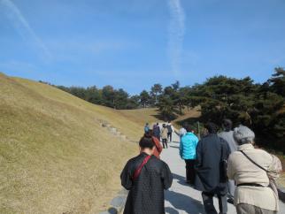 青空の下、広大な芝生の丘と松林に囲まれた舗装された道を、数名の訪問団員と思われる人々が、画面奥に向かって歩きながら散策を楽しんでいる様子の写真